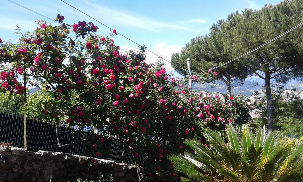 Tre Pini Apartment La Spezia Bagian luar foto
